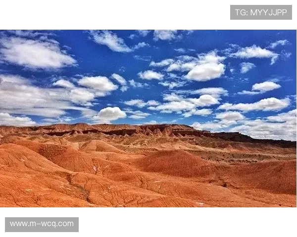 青海选手季海英黄山赛夺冠 创下1小时30分33秒新纪录