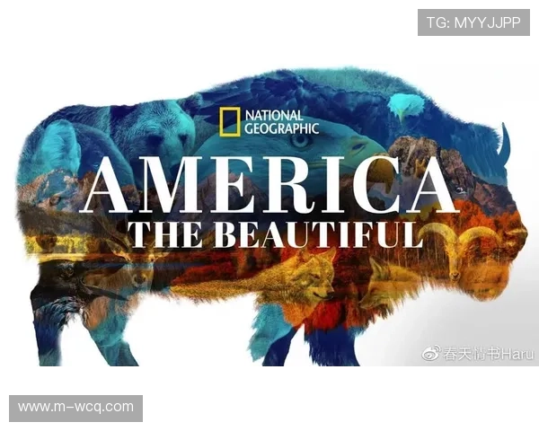 纪录片热潮下足球俱乐部携手流媒体共创体育品牌新篇章