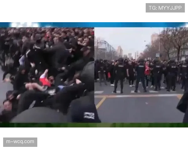 本菲卡球迷与当地警方发生冲突,多名家长受影响 本菲卡球迷与当地警方发生冲突,多名家长受影响