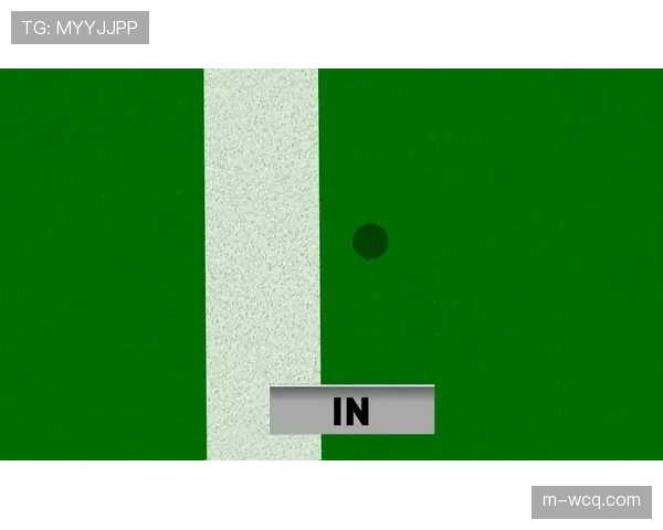 解析新赛季鹰眼挑战规则的实际应用与争议判例